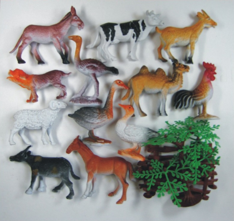 animal.jpg