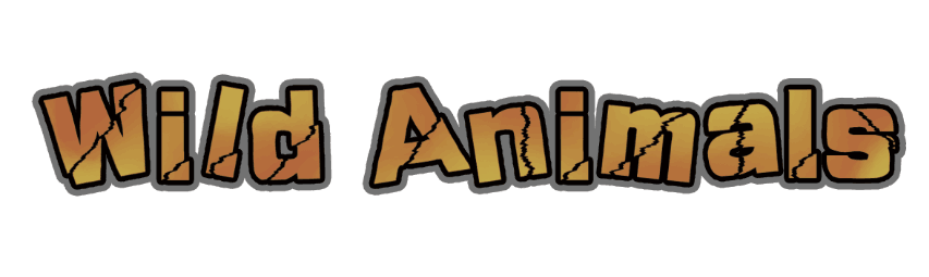 wild-animals.jpg